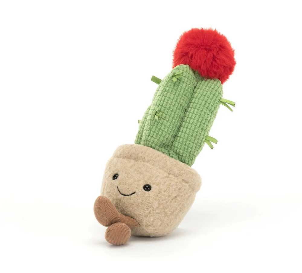 Amuseable Moon Cactus