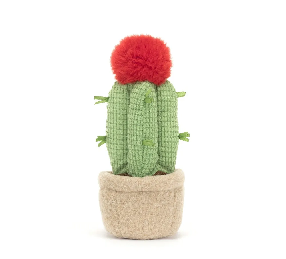 Amuseable Moon Cactus