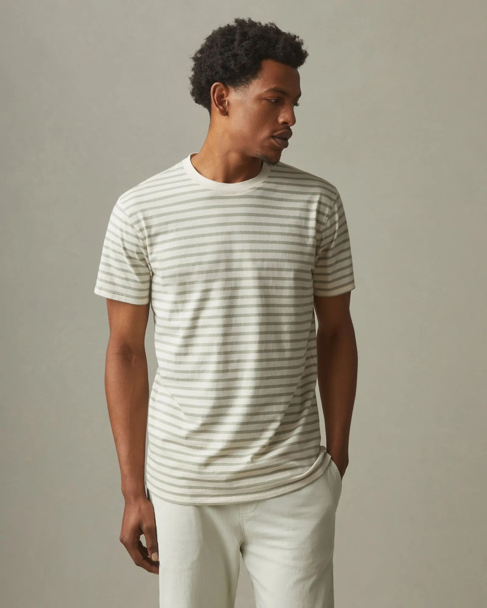 Classic Cotton Crew Tee Striped - Turtledove / Eucalyptus