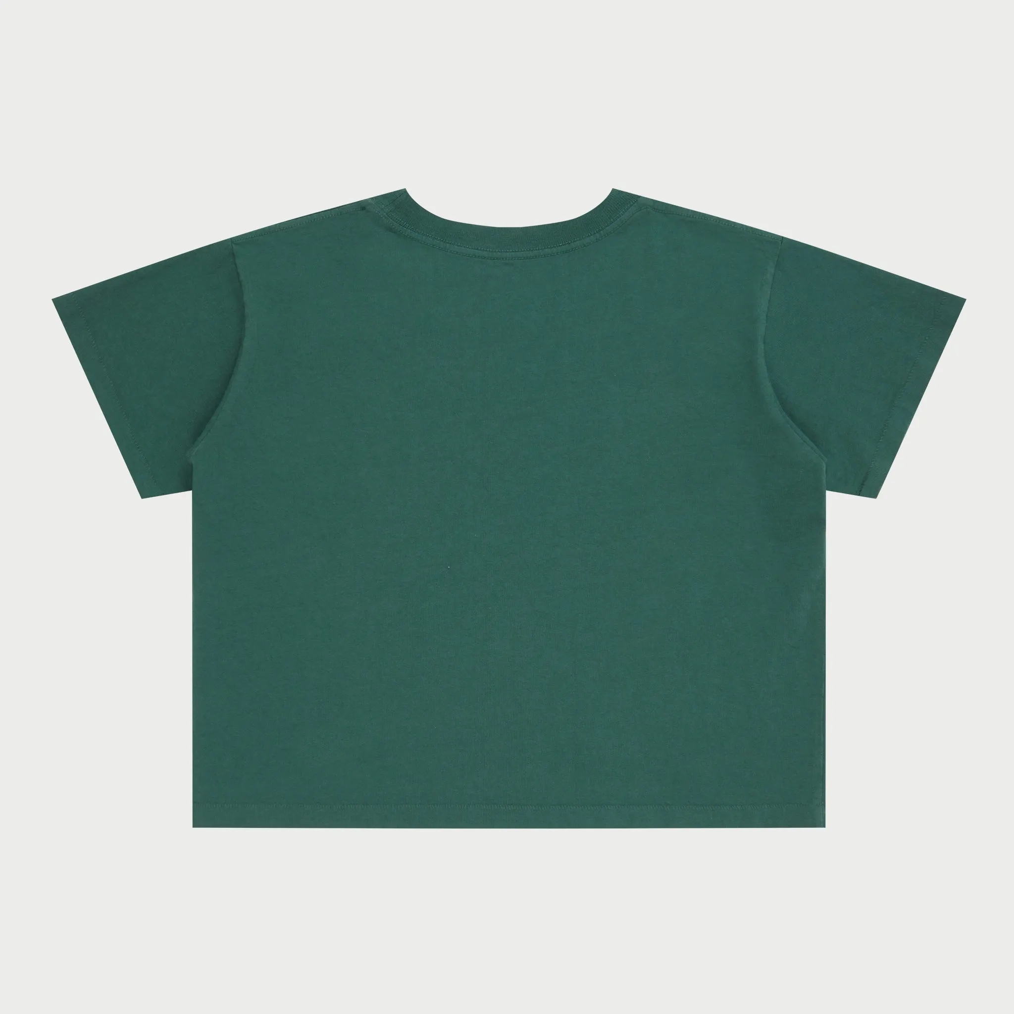 Sedona Boxy Baby Tee (Cactus)